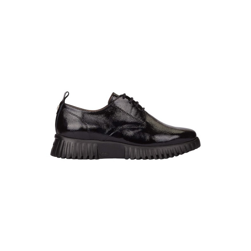 Wonders Flexfly 01