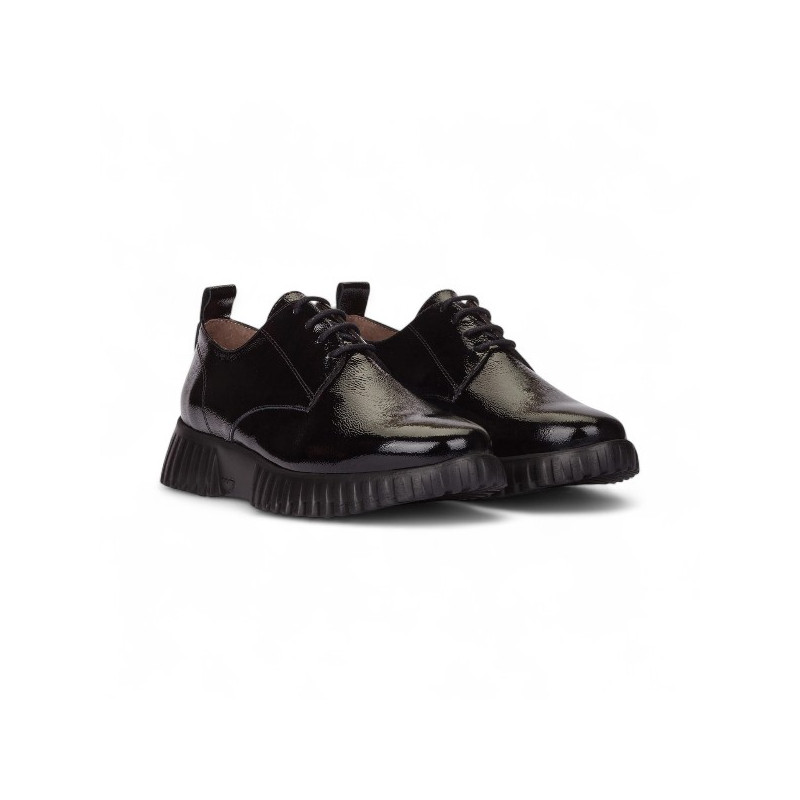 Wonders Flexfly 01