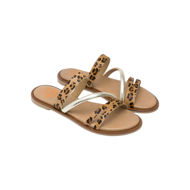 Porronet Animal Print carey
