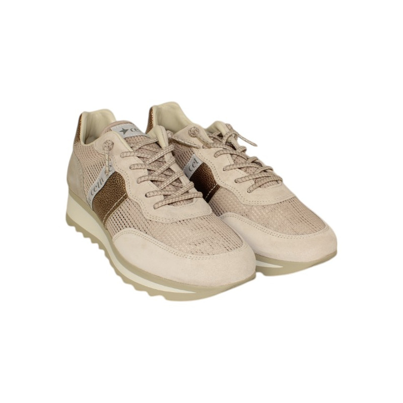 Cetti C849 Camel