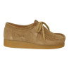 zapato tipo walabee piel velour modelo bee