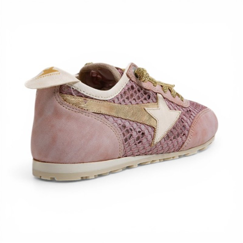 Cetti 1409